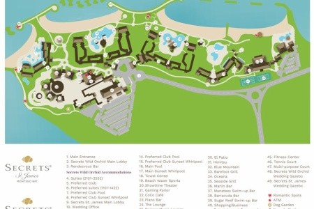 Secrets Wild Orchid - 10