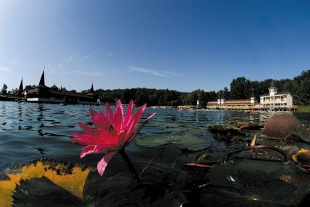 Lotus Therme & Spa - 19