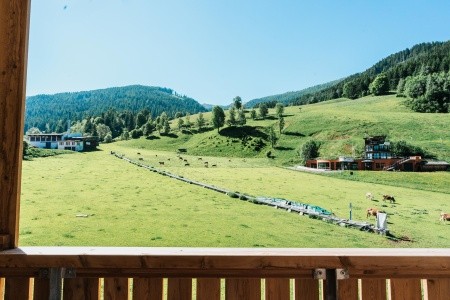 Rakúsko Bad Kleinkirchheim Cooee Alpin Bad Kleinkirchheim 9 dňový pobyt Polpenzia Vlastná May 2025 (13/05/25-21/05/25)