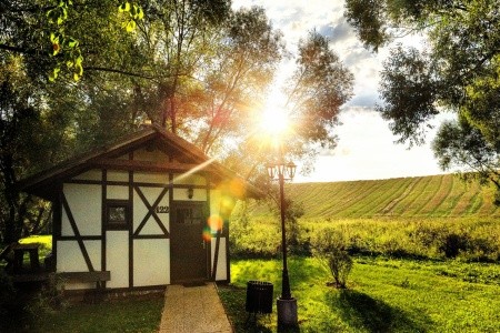 Holiday Village Tatralandia - 22