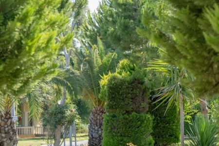 Anadolu Hotels Didim Club (Ex. Palm Wings Beach Resort) - 49