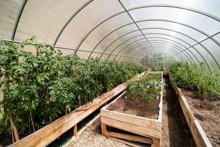 Česká republika Západné Čechy Hrad Vildštejn (Skalná) 3 dňový pobyt Polpenzia Vlastná October 2025 (26/10/25-28/10/25)