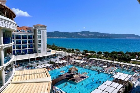 Maxeria Blue Didyma - 157