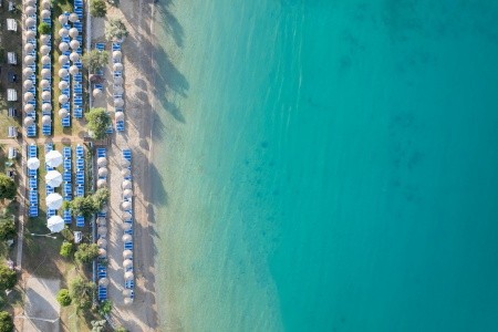 Maxeria Blue Didyma - 161