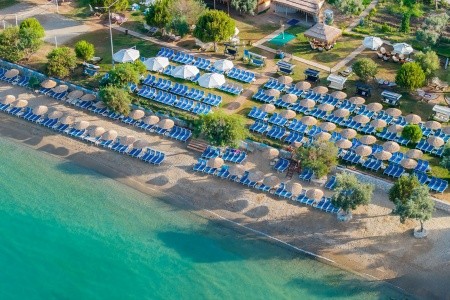 Maxeria Blue Didyma - 162