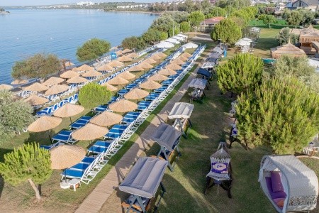 Maxeria Blue Didyma - 163