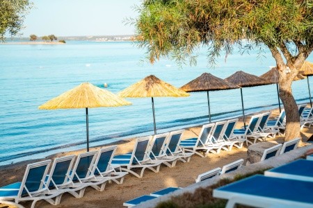 Maxeria Blue Didyma - 164