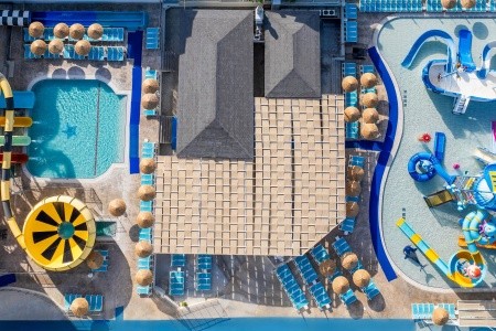 Maxeria Blue Didyma - 165