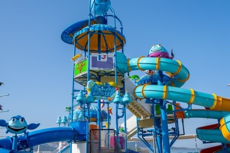 Maxeria Blue Didyma - 166