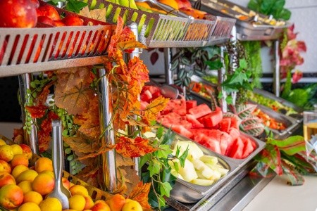 Maxeria Blue Didyma - 175