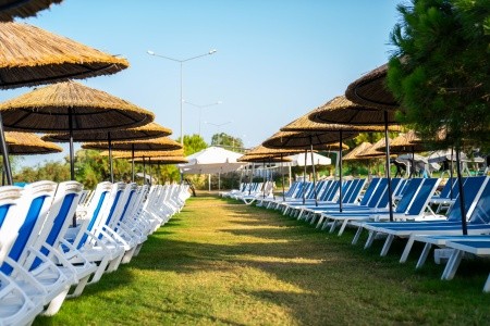 Maxeria Blue Didyma - 187