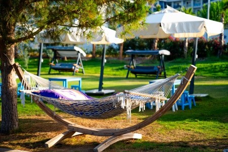 Maxeria Blue Didyma - 190