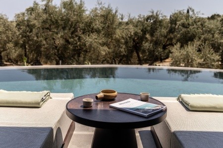 King Jason Zante - 133