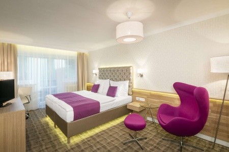 Pytloun Wellness Hotel Harrachov - 8