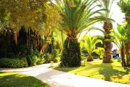 Eden Yasmine Resort & Spa - 63