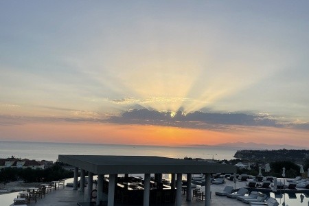 King Jason Zante - 155