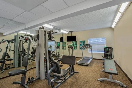 USA Miami La Quinta Inn & Suites Miami Airport West 14 dňový pobyt Raňajky Letecky Letisko: Praha October 2025 (24/10/25- 6/11/25)