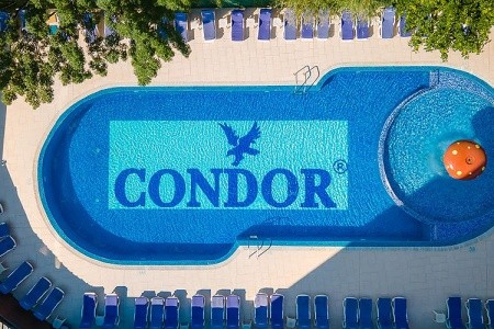 Mpm Condor - 7