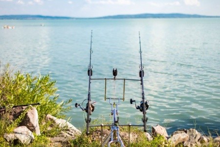 Kemp Holiday & Strand - 24