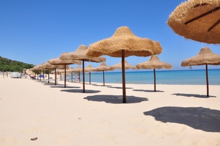 Costa Dei Fiori - 79