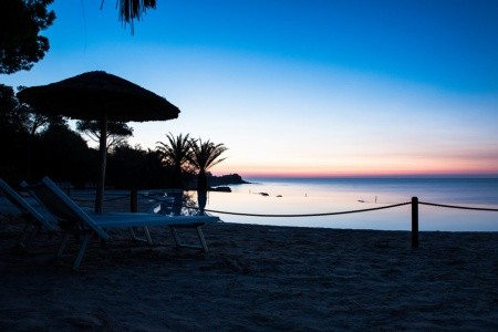 Costa Dei Fiori - 80