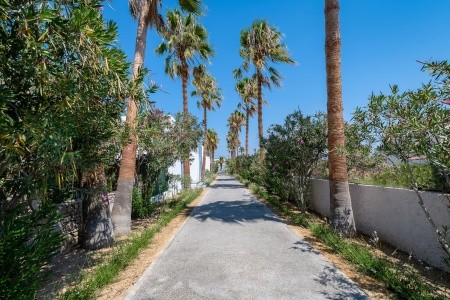 Grécko Kos Diamond Boutique 13 dňový pobyt Raňajky Letecky Letisko: Praha June 2026 (17/06/26-29/06/26)