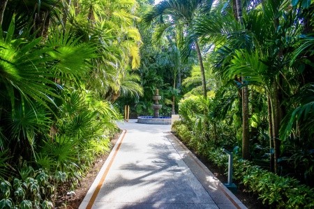 Occidental  Cozumel (Isla Cozumel) - 56