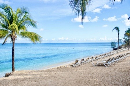 Occidental  Cozumel (Isla Cozumel) - 72