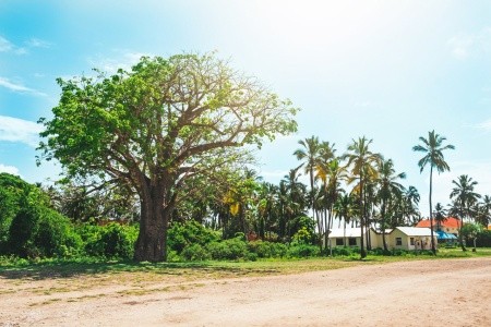 Divoká příroda Afriky + pobyt v Hotel Sansi Kae Beach Resort & SPA