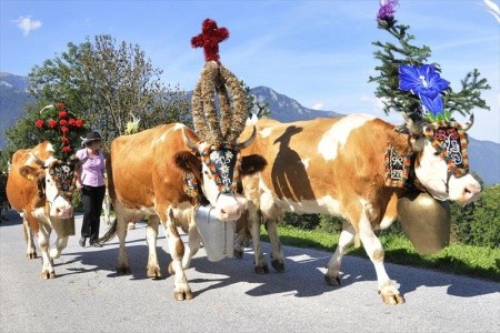 Údolí Pitztal a Kaunertal - alpské pokladnice pro seniory