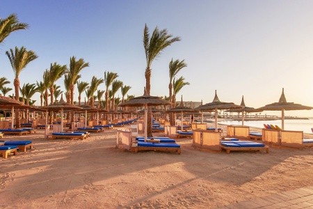 Egypt Hurghada Pickalbatros Albatros Palace 8 dňový pobyt All Inclusive Letecky Letisko: Praha May 2025 (22/05/25-29/05/25)