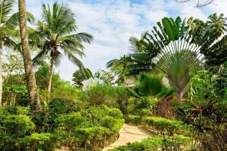 Zanzibar  Zanzi Resort 10 dňový pobyt Polpenzia Letecky Letisko: Praha May 2025 (26/05/25- 4/06/25)