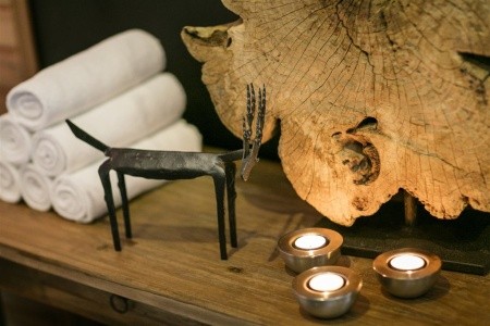 Pytloun Wellness Hotel Harrachov - 7