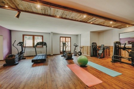 Vitalhotel Gosau - 11