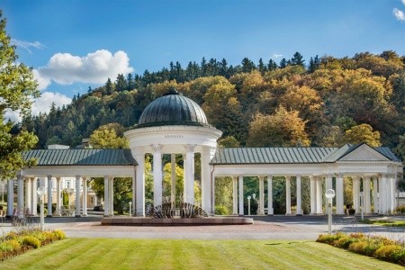 Pacifik Ensana Health Spa Hotel - 20