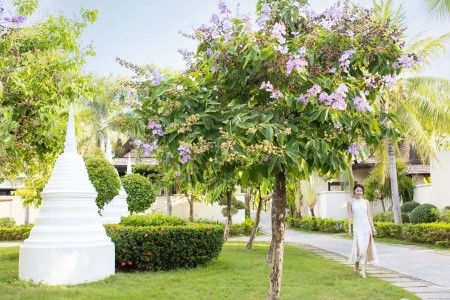 Pullman Sanya Yalong Bay Villas & Resort - 81