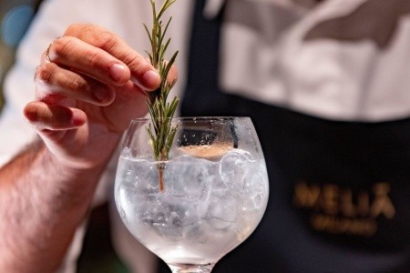 Dominikánska republika Punta Cana Melia Punta Cana Beach Resort 11 dňový pobyt All Inclusive Letecky Letisko: Viedeň May 2026 (19/05/26-29/05/26)