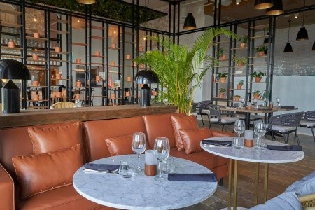 Paradisus Grand Cana - All Suites - 236