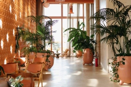 Epidamn White Sensation - 63