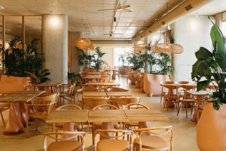 Epidamn White Sensation - 65