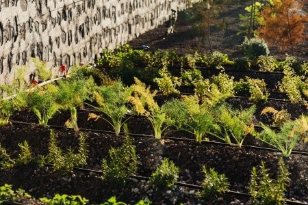 Bancal Hotel & Spa - 54