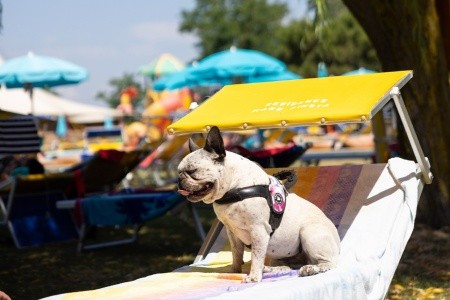 Residence Mare Pineta - 82