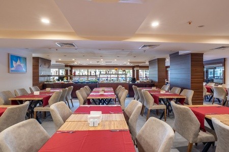 Viking Express Hotel (Ex. Viking Suite) - 20