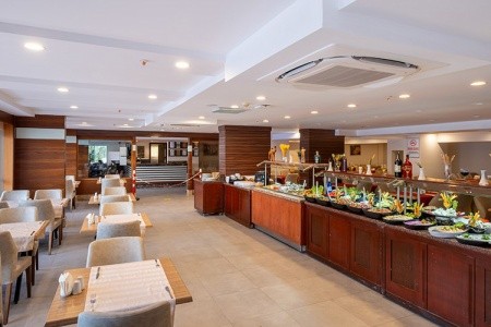 Viking Express Hotel (Ex. Viking Suite) - 21