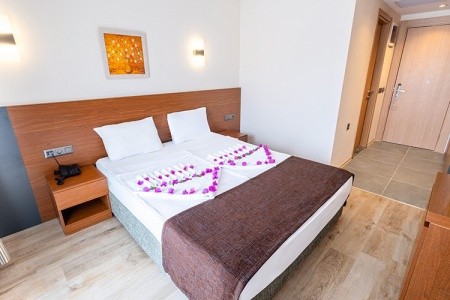 Viking Express Hotel (Ex. Viking Suite) - 24