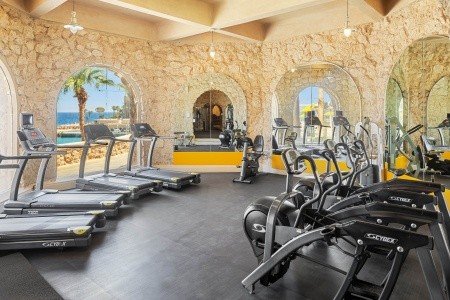 Pickalbatros Citadel Resort - 29