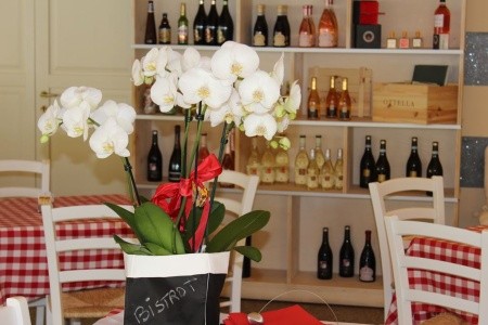 Butterfly Camping Village - 19