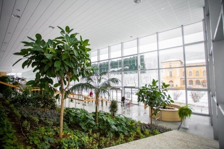 Nat Piwniczna Zdrój Smrek - 4