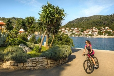 Aminess Lume (Ex. Feral) - 8