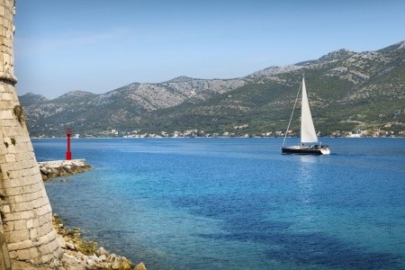 Aminess Lume (Ex. Feral) - 12